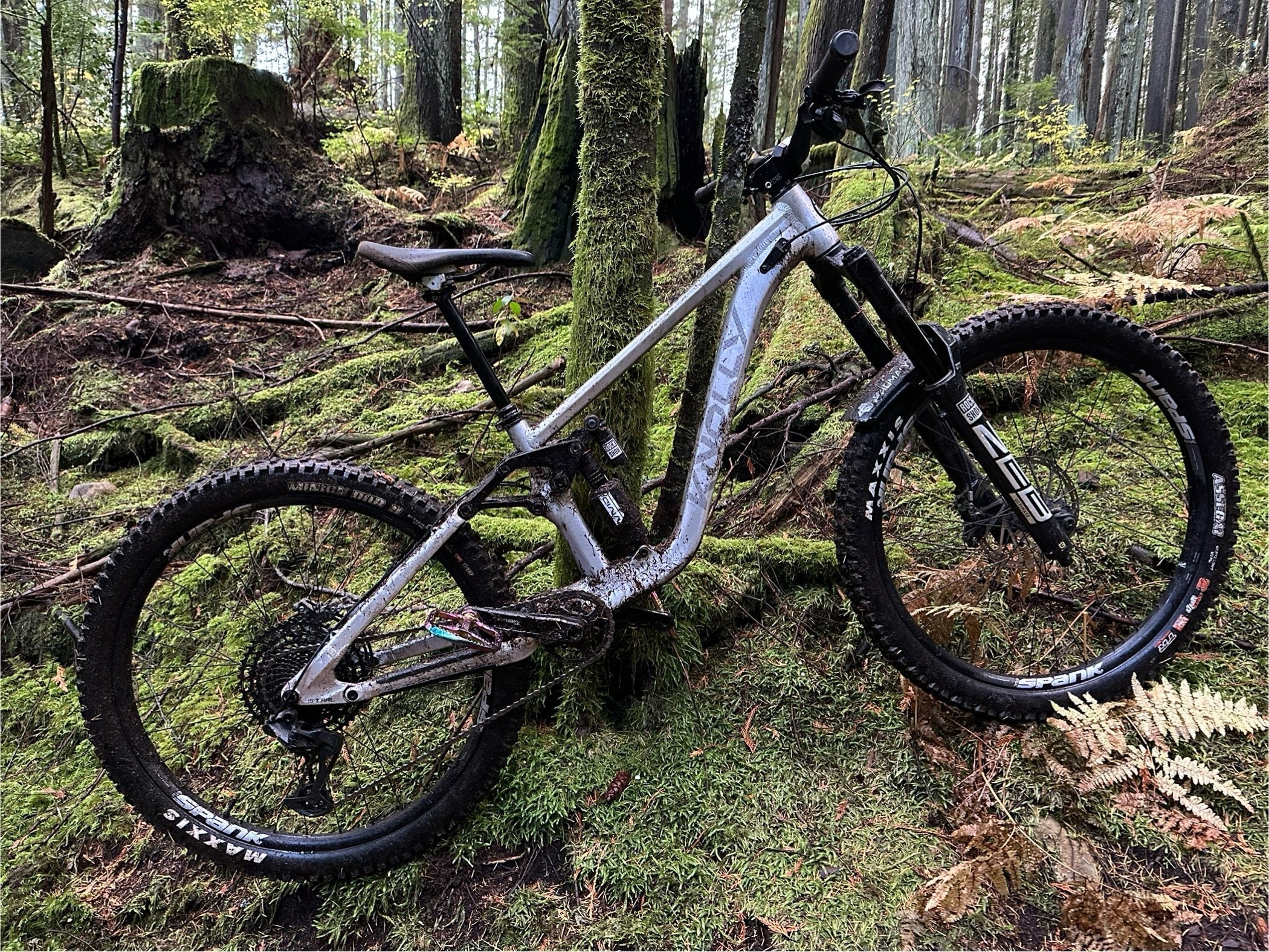 Your Bike Was Built to Adapt to the Trail. So Why Is Your Saddle Still Level?