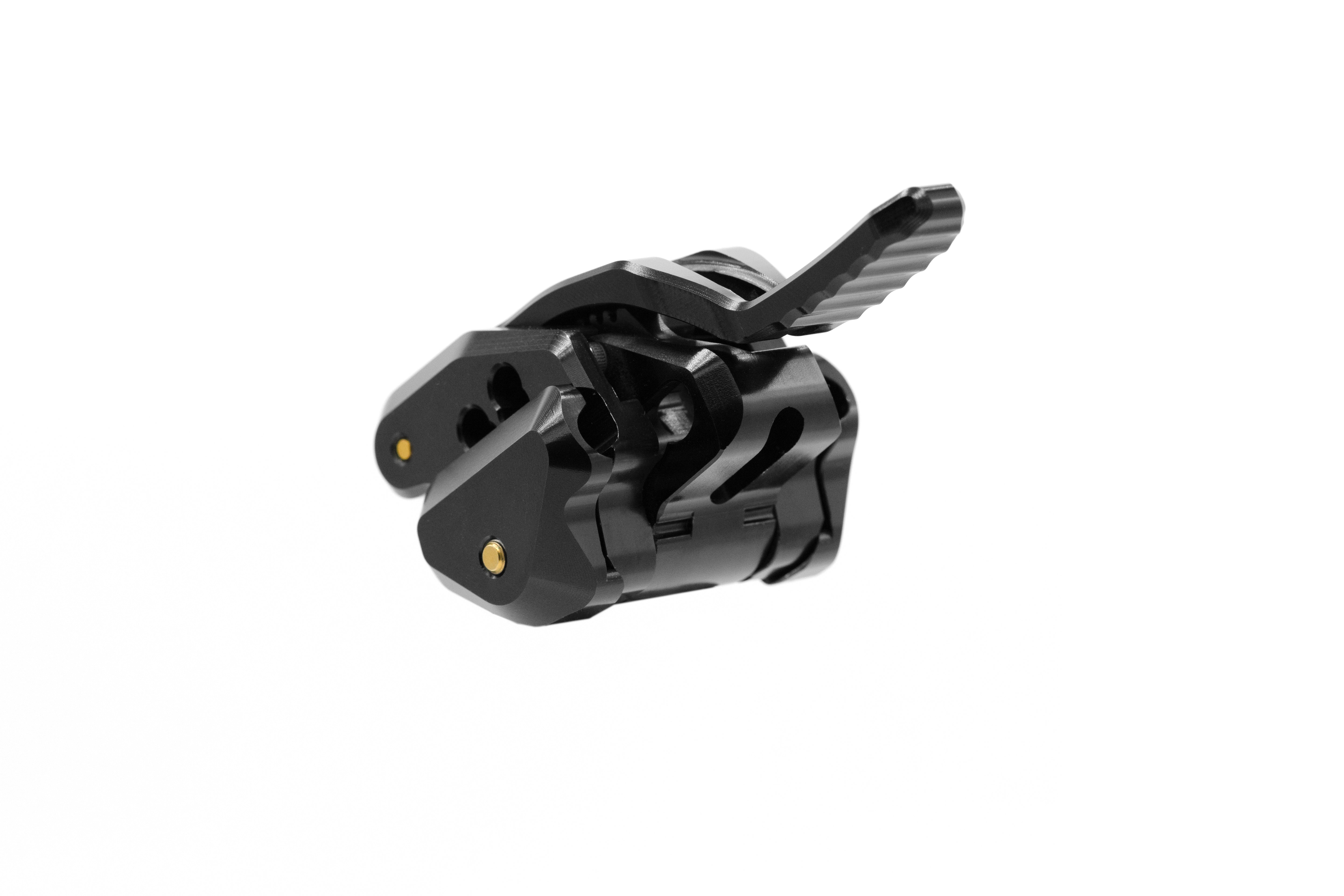 Immagine diapositiva