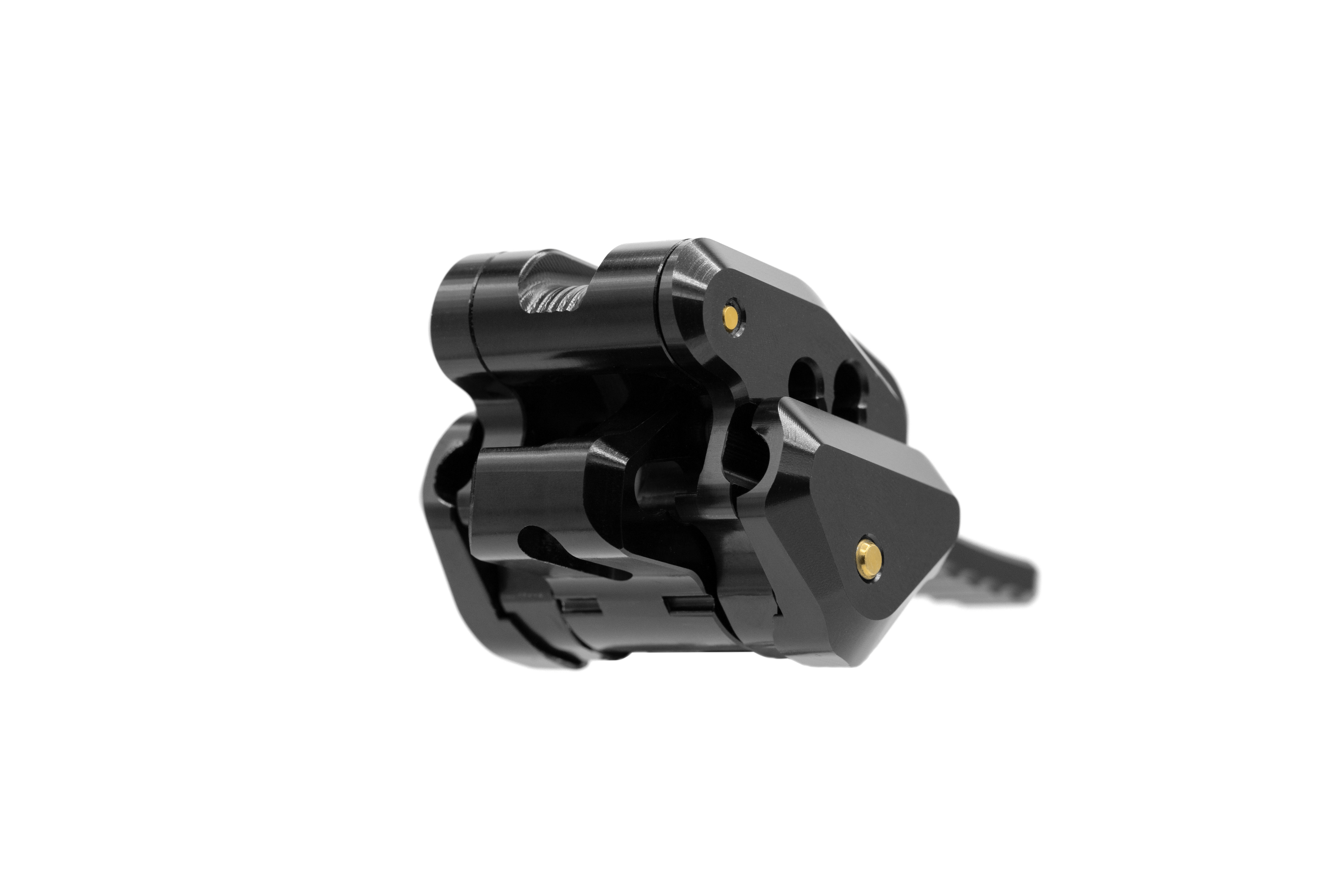 Immagine diapositiva